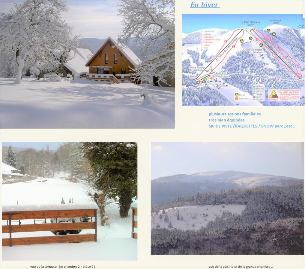 Chalet La Grange De Madi Muhlbach-sur-Munster Zewnętrze zdjęcie