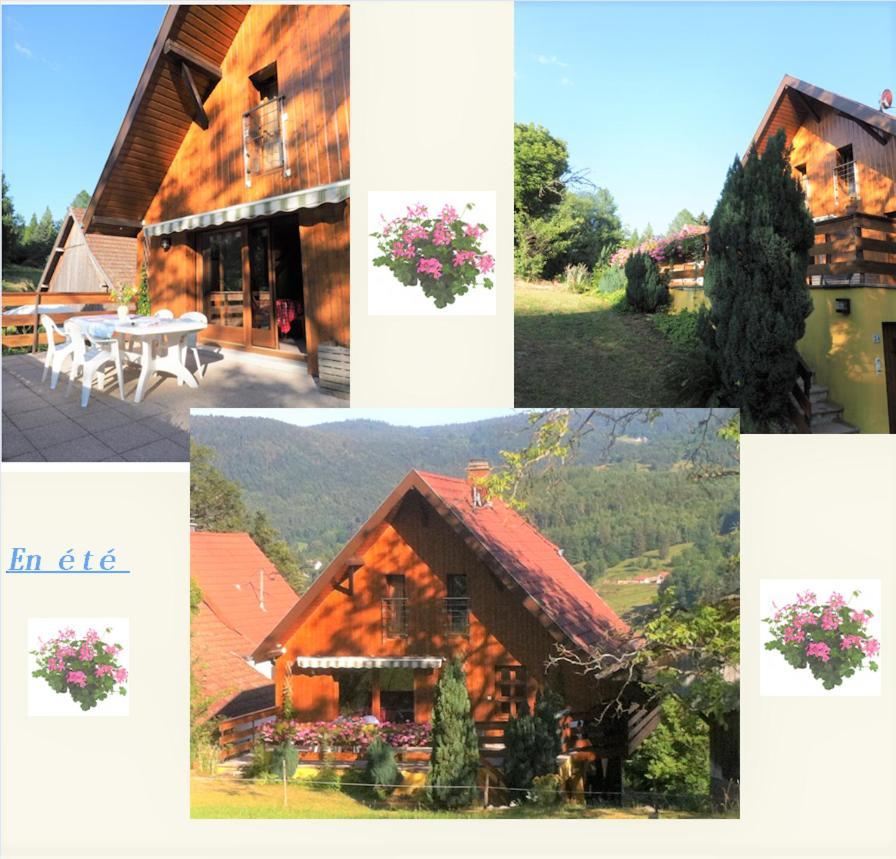 Chalet La Grange De Madi Muhlbach-sur-Munster Zewnętrze zdjęcie